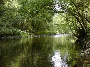Wandern in der Wutachschlucht