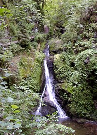 Wutachschlucht