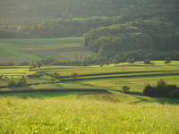 Blick vom Saalenberg zum Heidenweg (Bildnachweis: Gemeinde Slden)