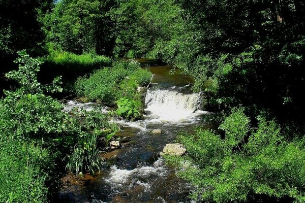 Haslachschlucht Copyright: (Mit freundlicher Genehmigung der Hochschwarzwald Tourismus GmbH | © Haderer) Haslachschlucht Copyright: (Mit freundlicher Genehmigung der Hochschwarzwald Tourismus GmbH | © Haderer)