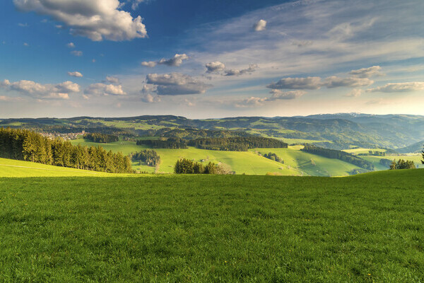 Landschaft bei St. Peter Bildnachweis: Hochschwarzwald Tourismus Gmbh