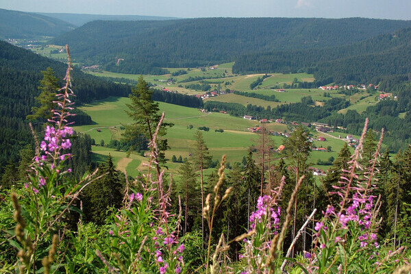 Blick ins Murgtal von der Knigswart Copyright: (Mit freundlicher Genehmigung der Gemeinde Seewald)