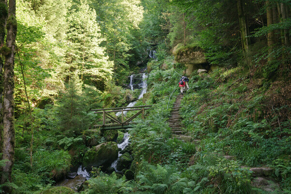 Gertelbach Wasserflle Bildnachweis: Mit freundlicher Genehmigung der Tourist-Info Bhl-Bhlertal
