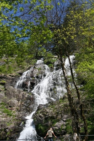 Todtnauer Wasserfall