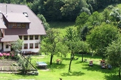 Hof mit Liegewiese Hof mit Liegewiese