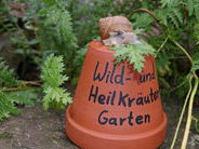 Auch Schnecken lieben unseren Kräutergarten
