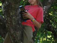 Lesen im Apfelbaum Lesen im Apfelbaum