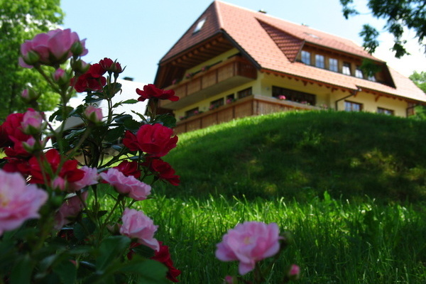Haus Haus