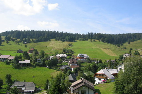 Ausblick Ausblick