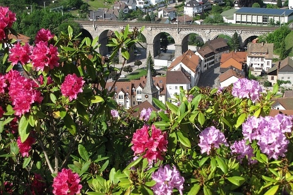 Ausblick auf die Stadt Hornberg Ausblick auf die Stadt Hornberg