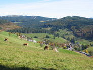 Muggenbrunn inmitten der Natur Muggenbrunn inmitten der Natur