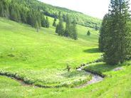 Ortsnahe Naturschutzgebiete... Ortsnahe Naturschutzgebiete...
