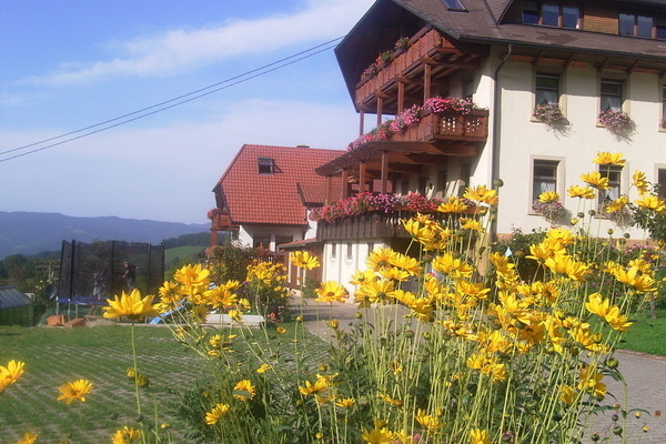 Außenansicht Außenansicht