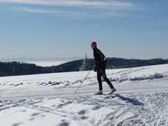 Bis zu den Alpen schauen... Bis zu den Alpen schauen...