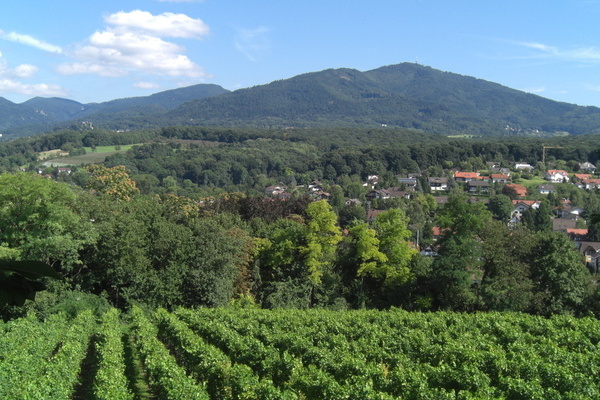 Mllheim und Vgisheim im Markgrflerland