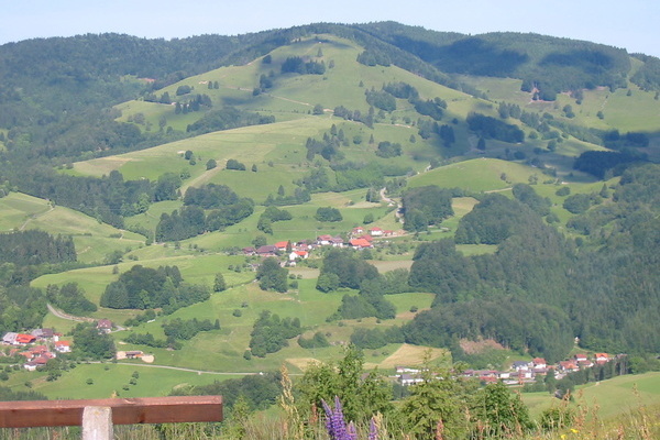 Ruhebank mit Blick auf Fröhnd Ruhebank mit Blick auf Fröhnd