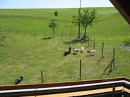 Ausblick von dem Sonnenbalkon Ausblick von dem Sonnenbalkon