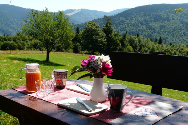 Sitzmöglichkeit unterm Lindenbaum  Sitzmöglichkeit unterm Lindenbaum