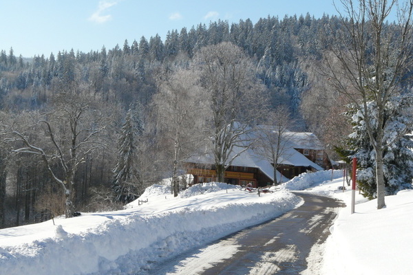 Winterstimmung  Winterstimmung