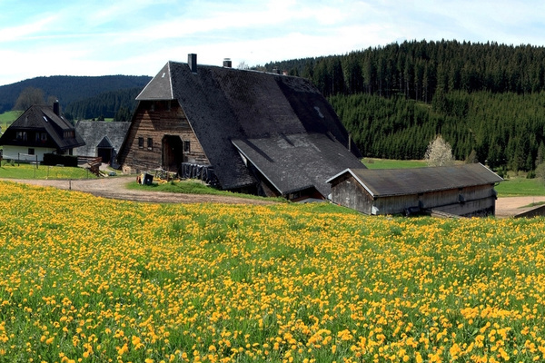 Blühendes Jostal Blühendes Jostal