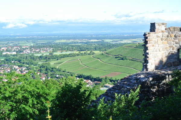 'Blick von der Burg Badenweiler über das Wellental in die Rheinebene'