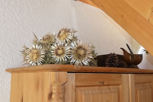 '''Landhaus auf dem Marterer-Hof''' '''Landhaus auf dem Marterer-Hof'''