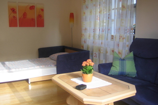 Wohnzimmer mit Schlafsofa Wohnzimmer mit Schlafsofa