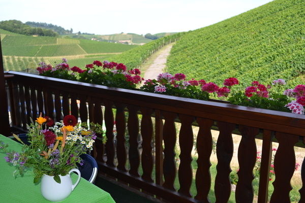 'Mblierter Balkon mit freiem Blick in die Weinberge'
