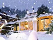 Winter Winter