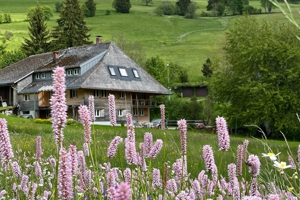 Frühling