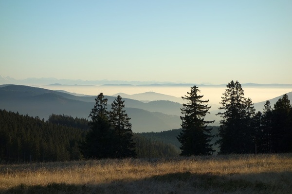 Dem Himme so nah und Alpenblick am Stübenwasen