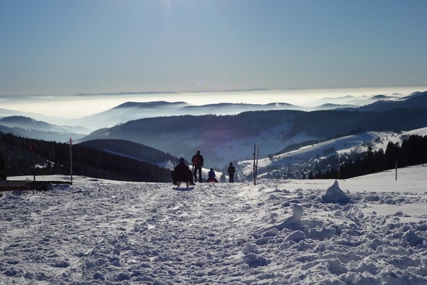 Rodeln am Stübenwasen