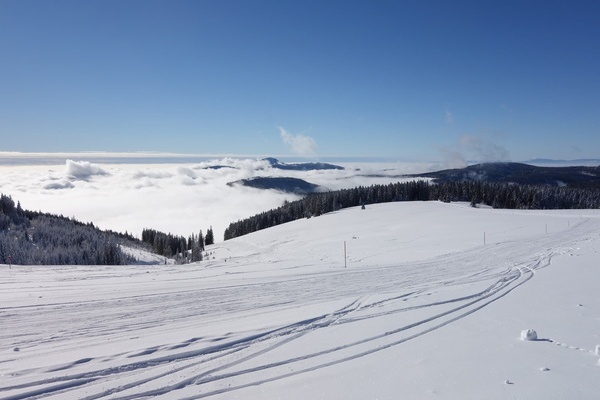 Langlauf Loipe (Stübenwasenspur) oberhalb von Todtnauberg