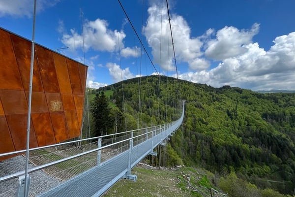 Highlight: Hängebrücke BlackforestLine am Ortseingang von Todtnauberg