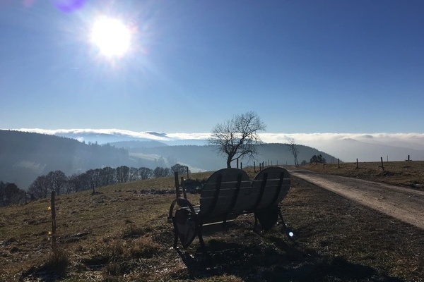 Im Herbst über den Wolken 