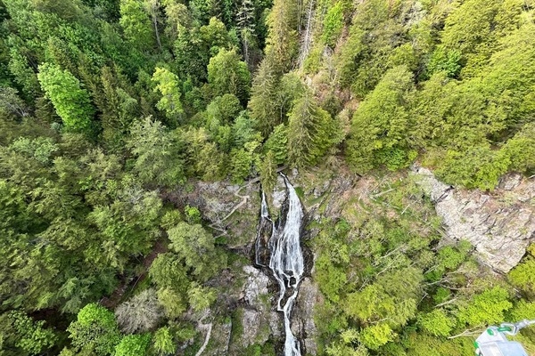 Highlight: Hängebrücke BlackforestLine am Ortseingang von Todtnauberg mit spektakulärem Blick auf den Wasserfall
