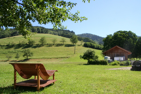Blick ins Grüne  Blick ins Grüne