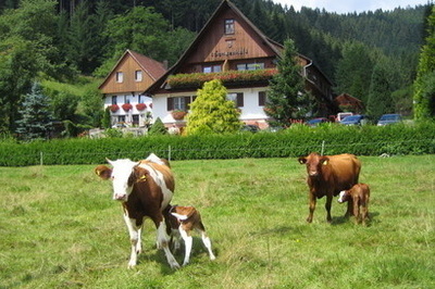 Hansenhof und Tiere Hansenhof und Tiere