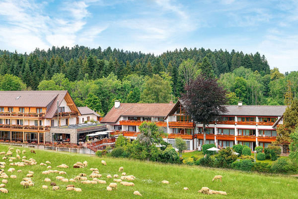 Aúßenansicht Sommer