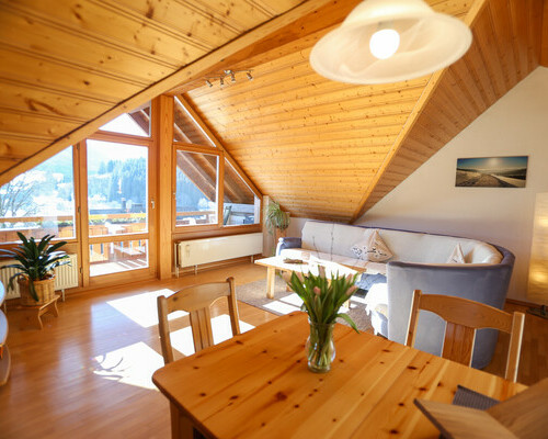 Appartements Bergblick (Bernau im Schwarzwald)