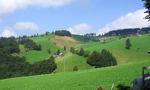 Harzlochhof Münstertal (Münstertal)