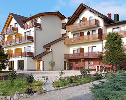 Hotel - Gasthof Rose (Oberkirch-Nussbach Herztal)