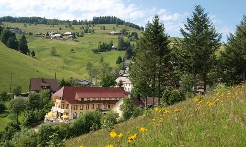 Vital-Hotel Grner Baum (Todtnau)