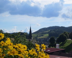 Ferienwohnung am Kapellenberg (Bad Peterstal-Griesbach)