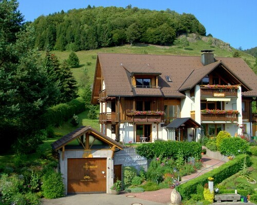 Appartement Bergblick (Bernau im Schwarzwald)