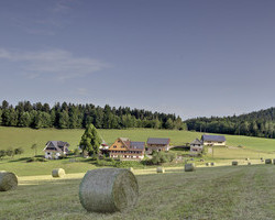 Gebelehof in Wolfach / St. Roman im Schwarzwald (Ferienwohnungen