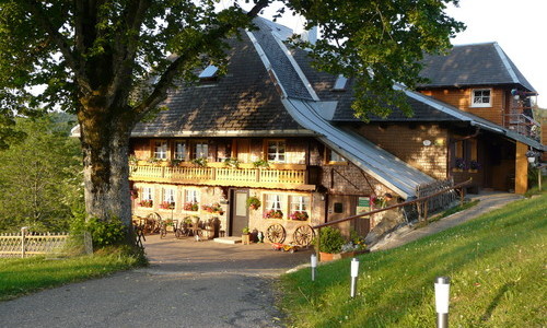 Reesbauernhof (Oberried-Hofsgrund)