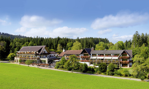 Hotel Grüner Wald (Freudenstadt)