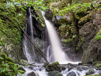 Mit freundlicher Genehmigung der Hotzenwald Tourismus GmbH Mit freundlicher Genehmigung der Hotzenwald Tourismus GmbH