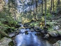 Mit freundlicher Genehmigung der Hotzenwald Tourismus GmbH